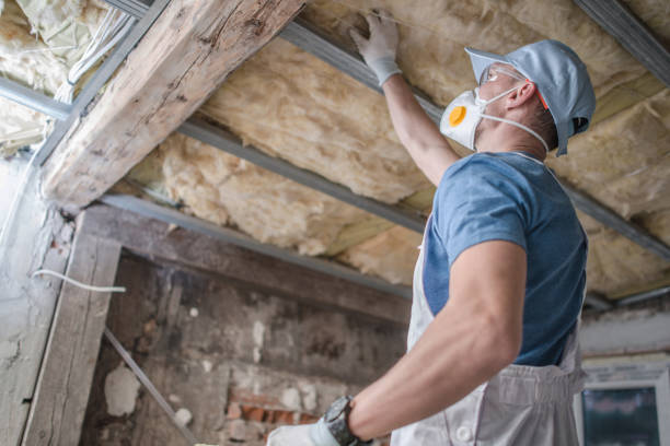 Best Geographic-Specific Insulation Services in Summerset, SD