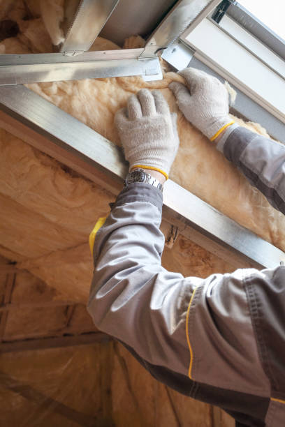 Best Insulation Maintenance and Repair in Summerset, SD
